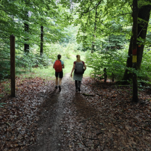 Photo de Bain de forêt - Redécouvrir les bienfaits de notre habitat naturel